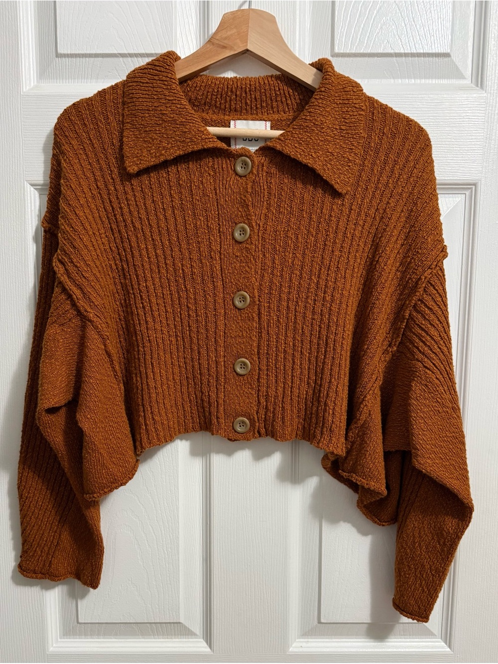 BDG Urban Outfitters Burnt Orange Cropped Ribbed Cardigan